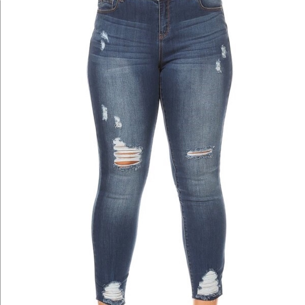 Plus size Skinnies